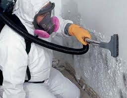 Best Comprehensive Air Testing for Mold Contaminants  in Carle Place, NY